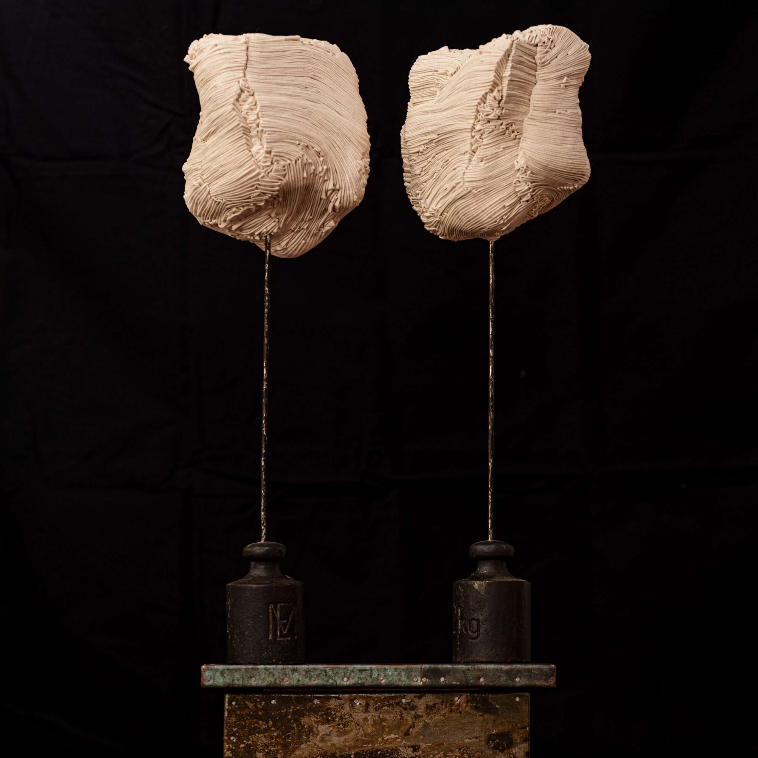 D750 Different / Indifferent - Image 1
